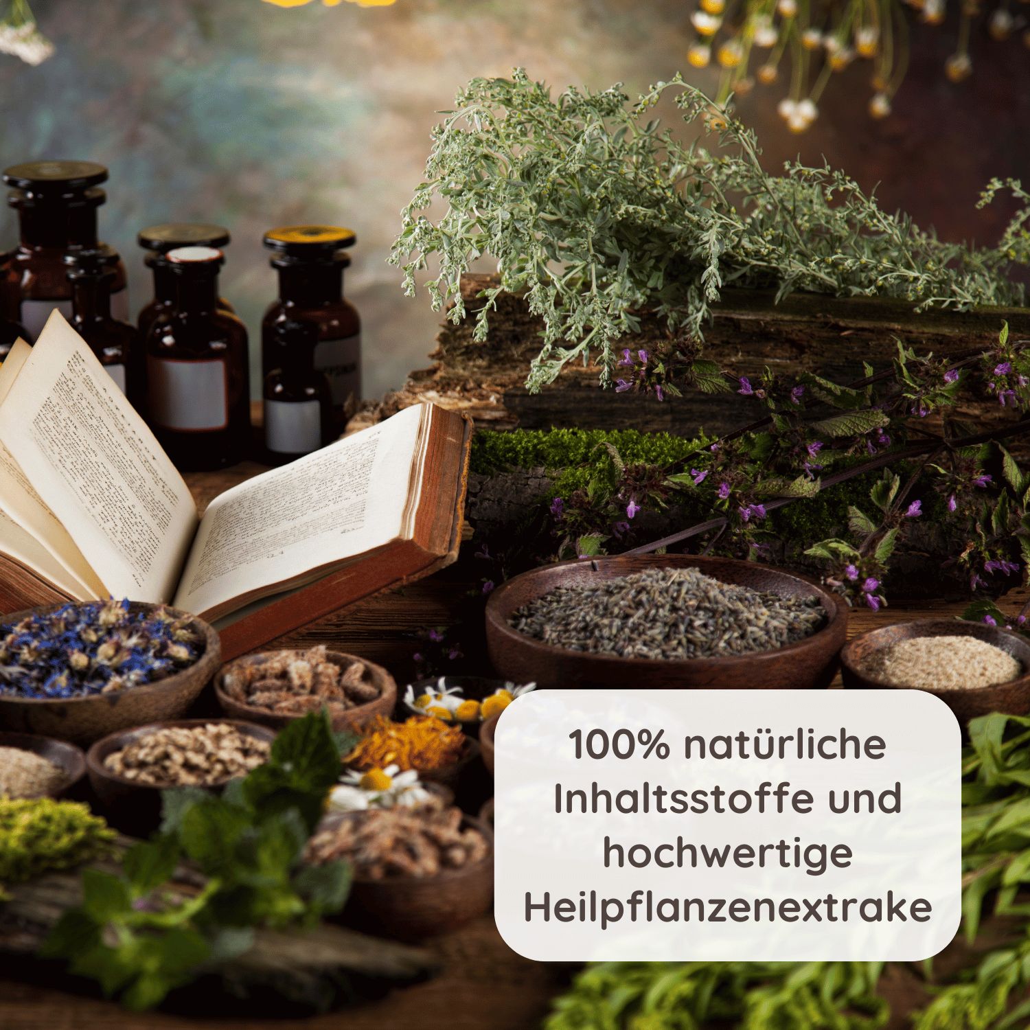 Schlosskräuter Narbenschmeichler Narbenöl & Körperöl