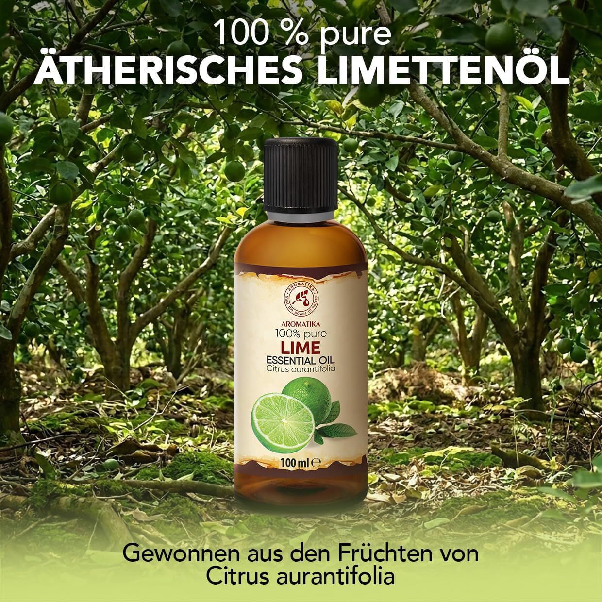 Braune Glasflasche mit schwarzem Schraubverschluss, Etikett mit "100% pure Ätherisches Limettenöl" und zwei Limetten.