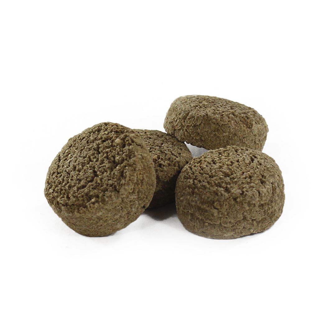 Vier runde, braune Hundekekse mit unebener Oberfläche. Auf weißem Hintergrund angeordnet.