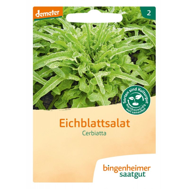 Bingenheimer Saatgut - Eichblattsalat Cerbiatta