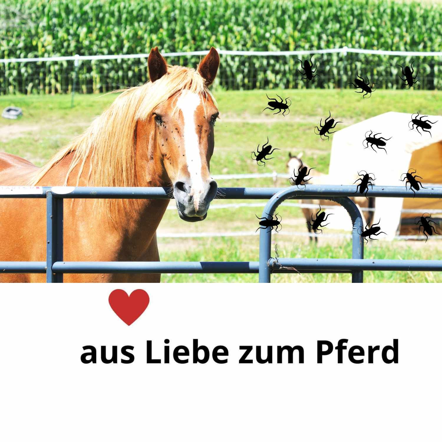 Stiefel Insektenschutz