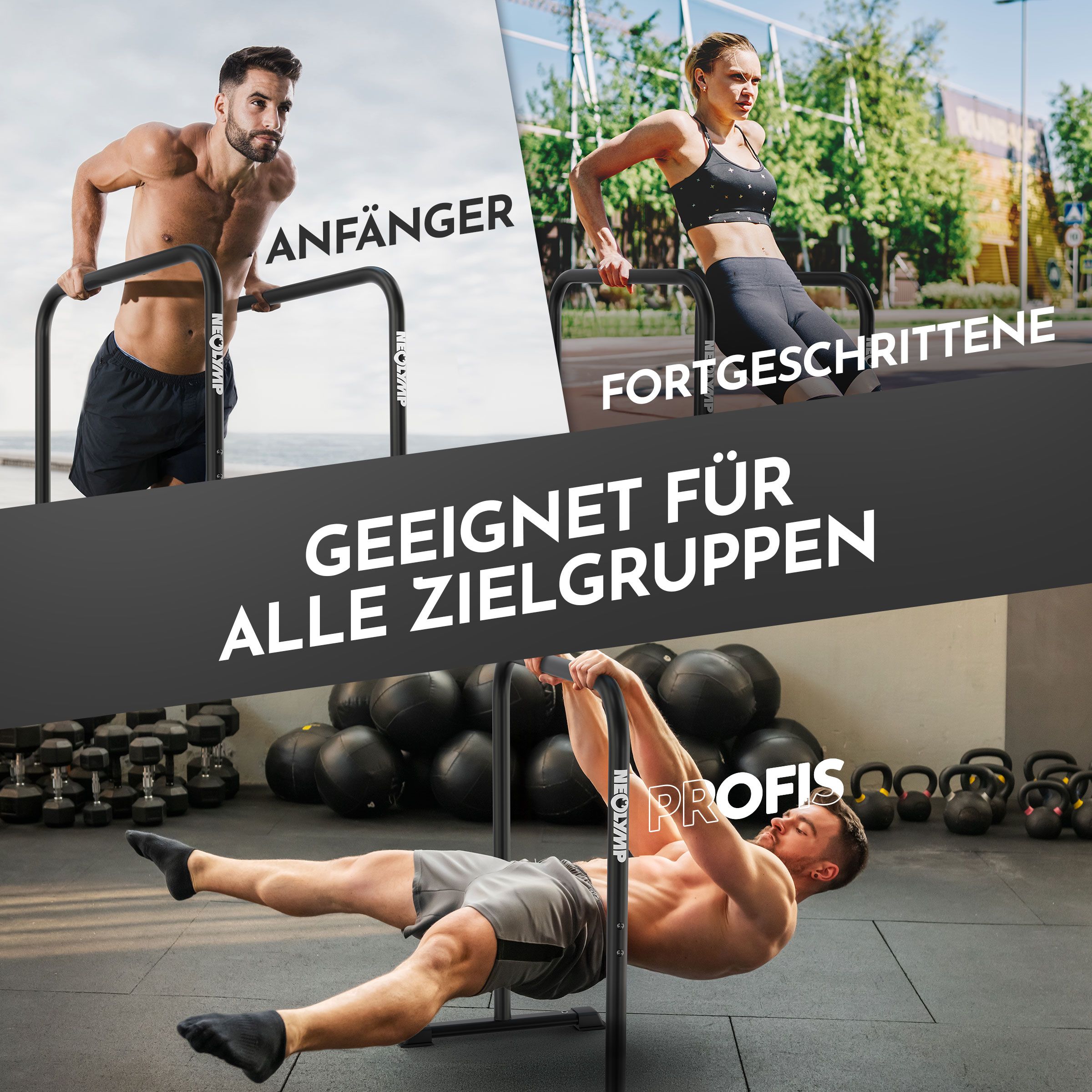 Dip-Barren in Gebrauch. Geeignet für Anfänger, Fortgeschrittene und Profis. Marke NEOLYMP.