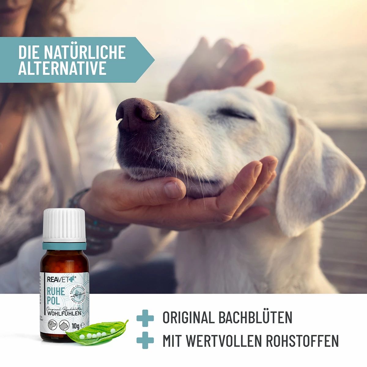 Personen streicheln einen weißen Hund. Daneben eine braune Flasche mit Etikett. Grüne Blätter mit Globuli. Text: Die natürliche Alternative.