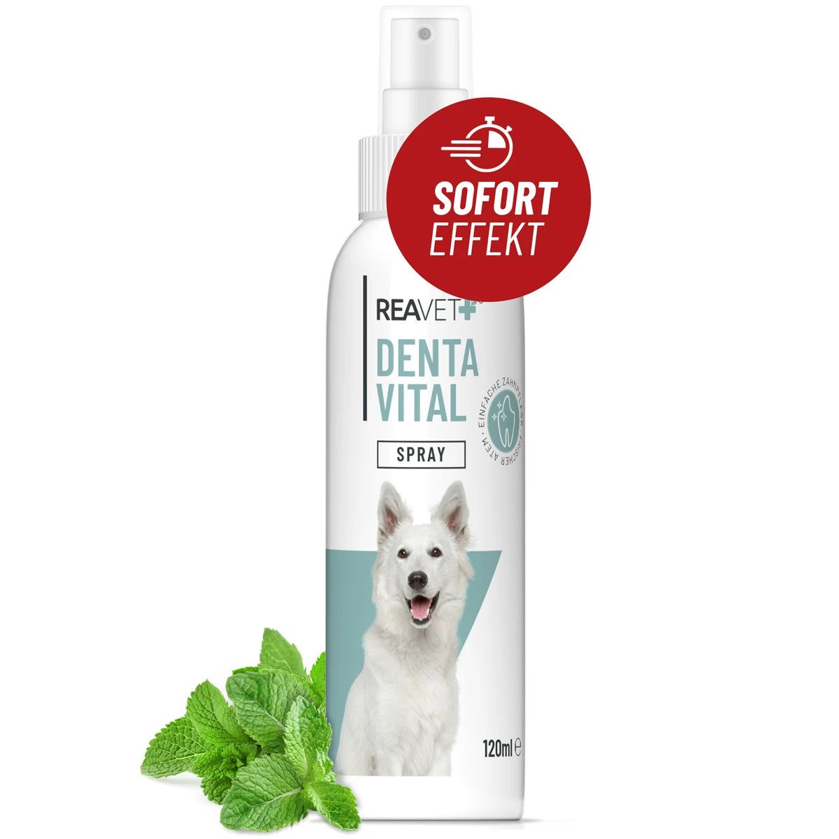 Weißes Spray mit Aufschrift Denta Vital Spray. Runder roter Aufkleber mit "SOFORT EFFEKT". Mintblätter liegen daneben.