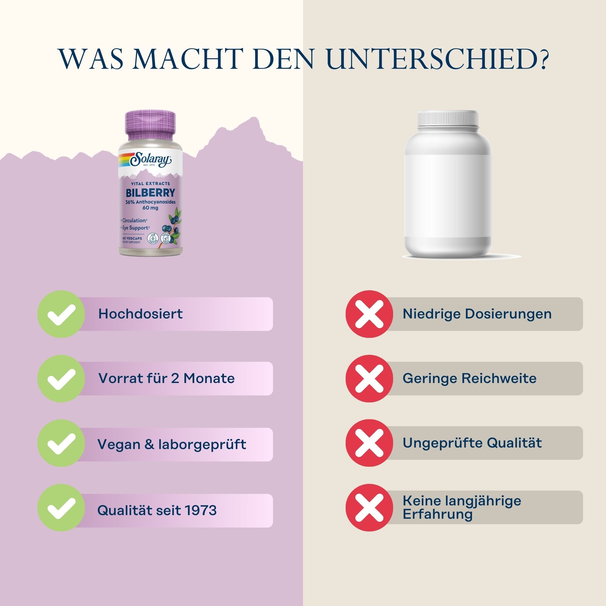 Solaray Blaubeere (Heidelbeere) Extrakt