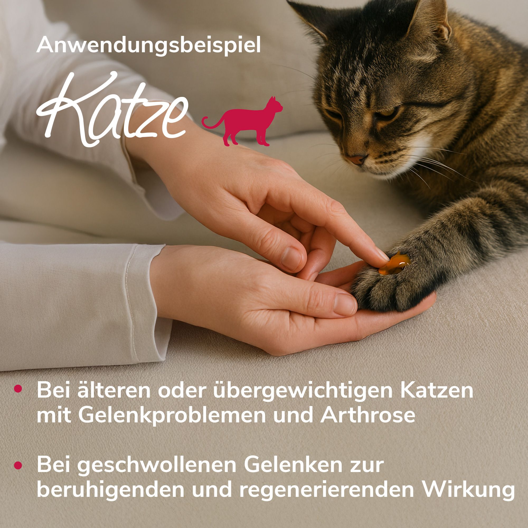 HerzensTier Gelenkwundergel für Pferde, Hunde & Katzen
