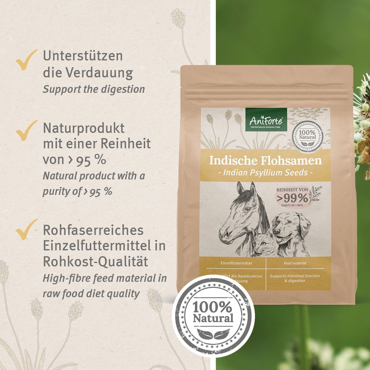 Produktbild von ReaVET Indische Flohsamen 1kg - Natürliche Verdauungshilfe Für Tiere