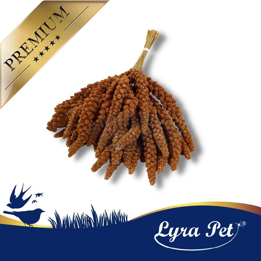 Bündel rote Kolbenhirse, gebunden mit Stroh. Das Logo Lyra Pet ist unten rechts zu sehen, mit dem Wort Premium oben links.