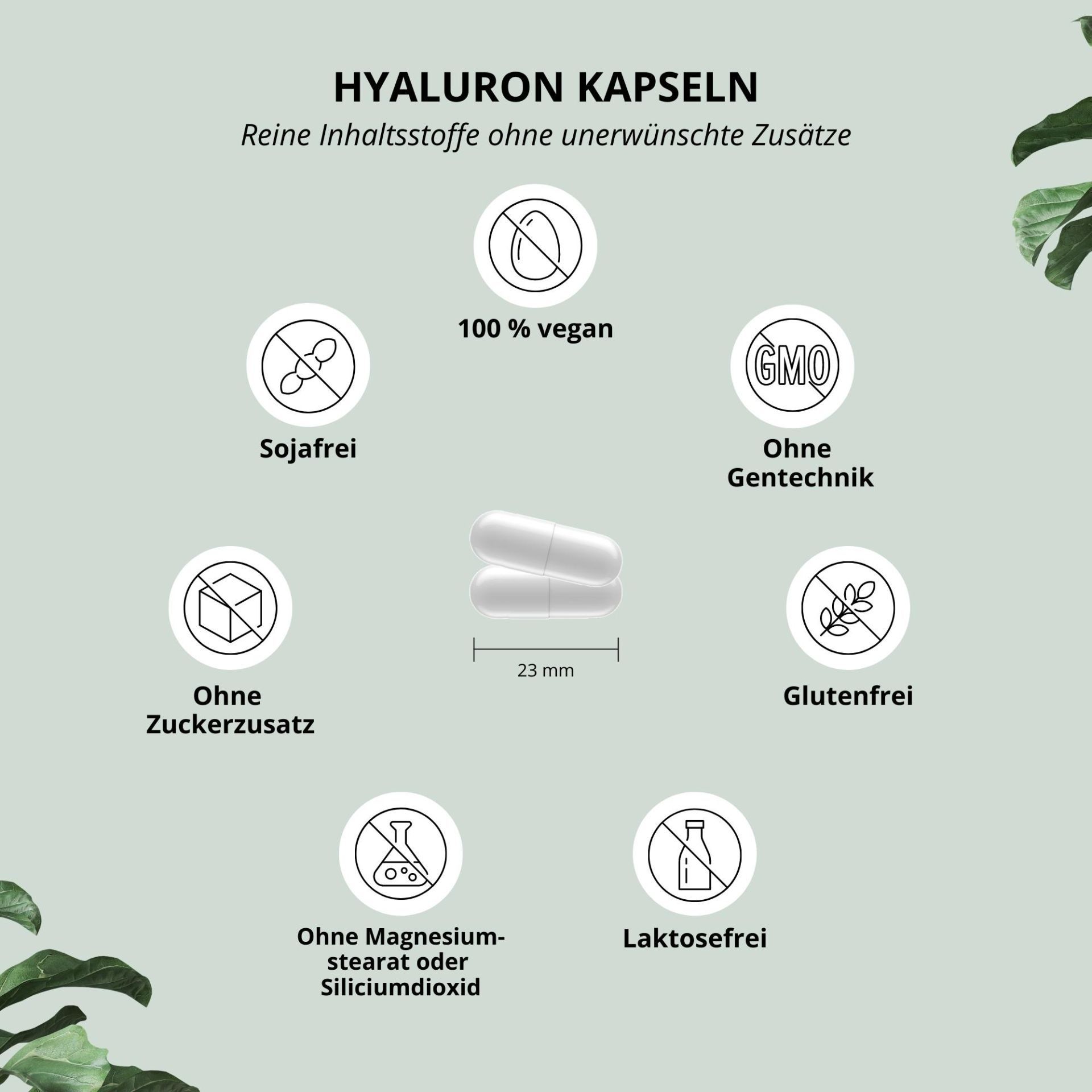 Nutri+ Hyaluronsäure