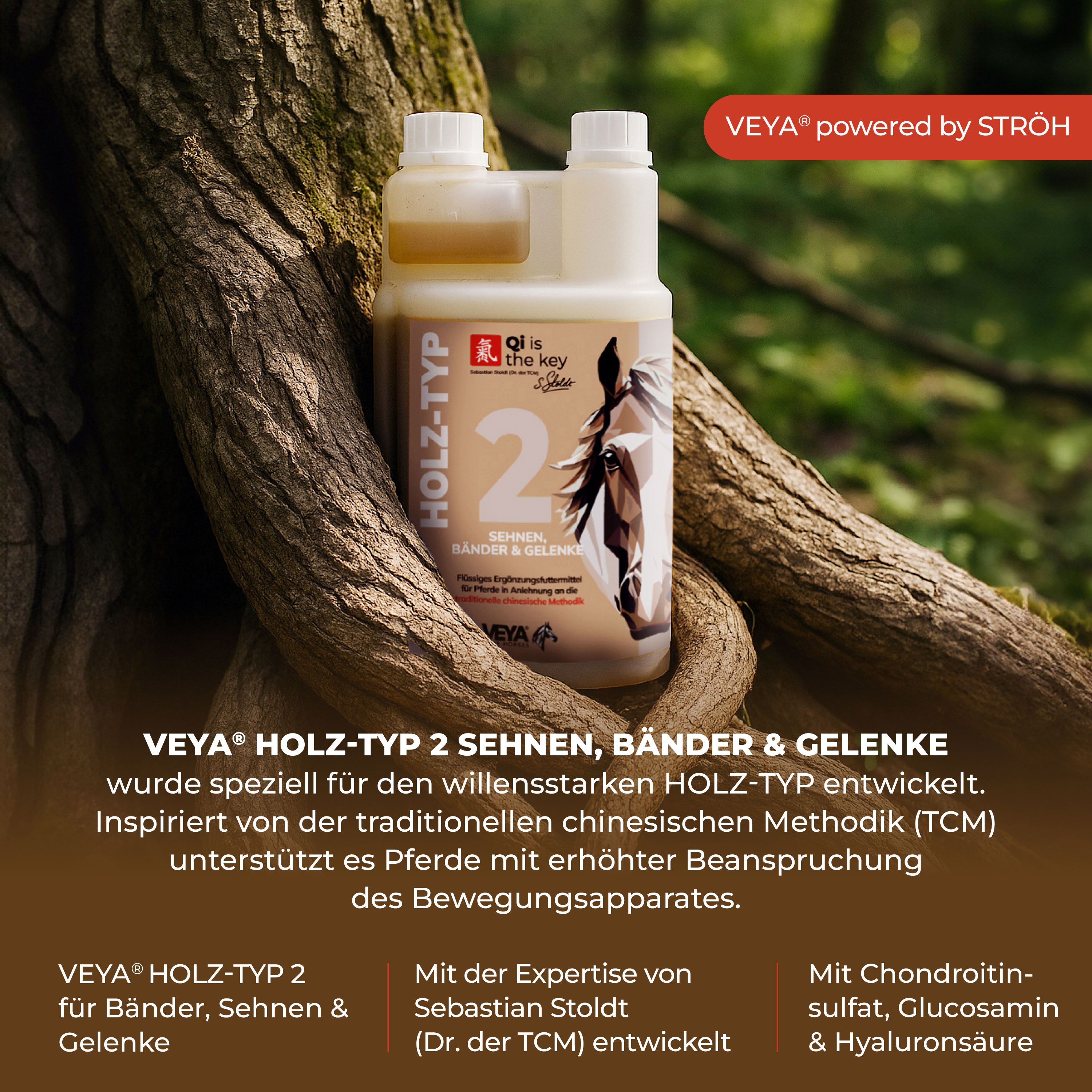 VEYA HOLZ-TYP 2 Sehnen, Bänder und Gelenke