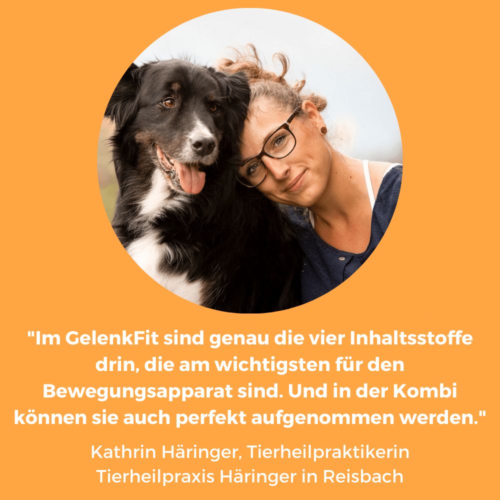 Dog-Native GelenkFit Pulver für Hunde