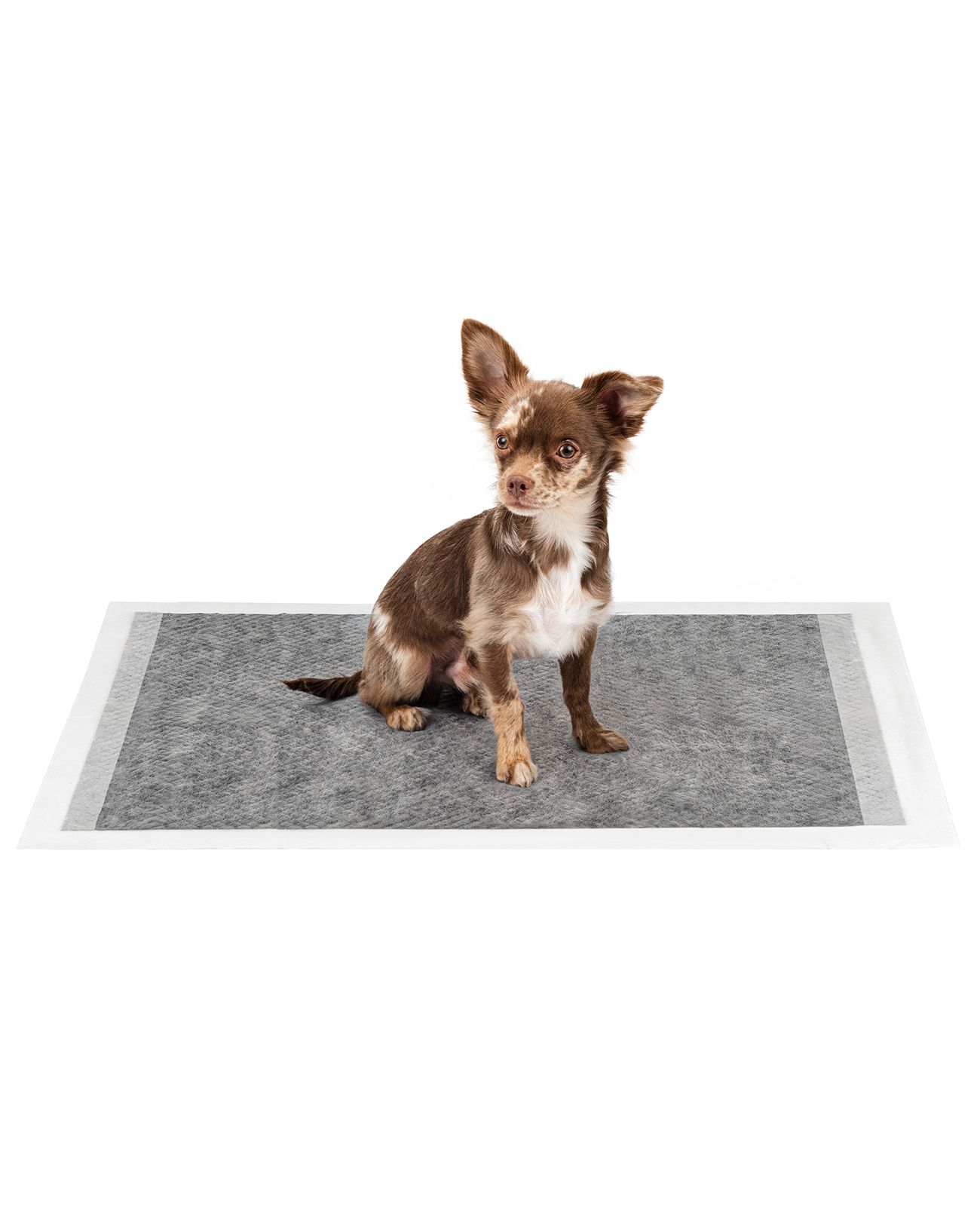 lionto Hunde Hygieneunterlage mit Kohlefaser