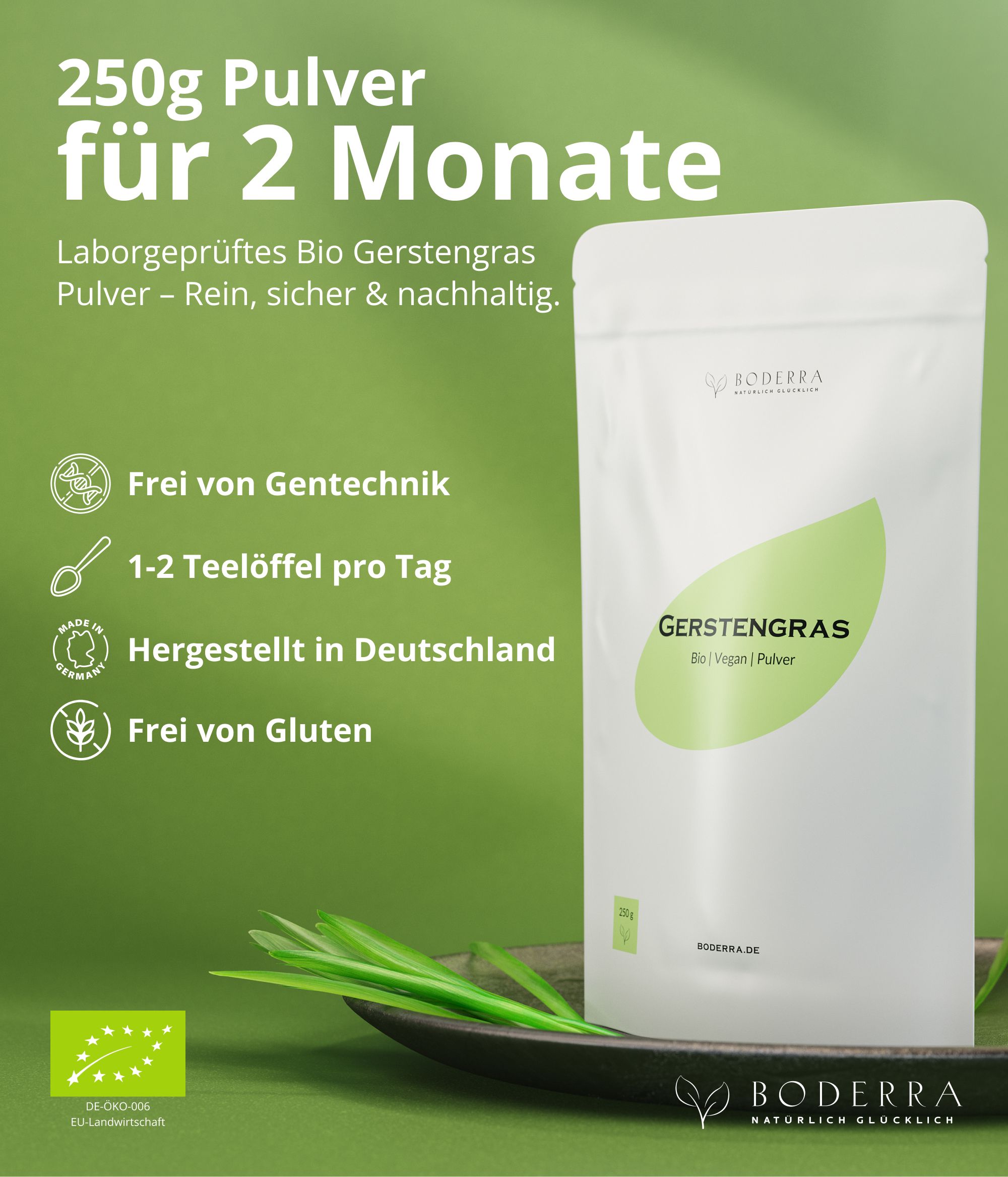 Boderra BIO Gerstengras Pulver aus Deutschland - 60 Tage Vorrat