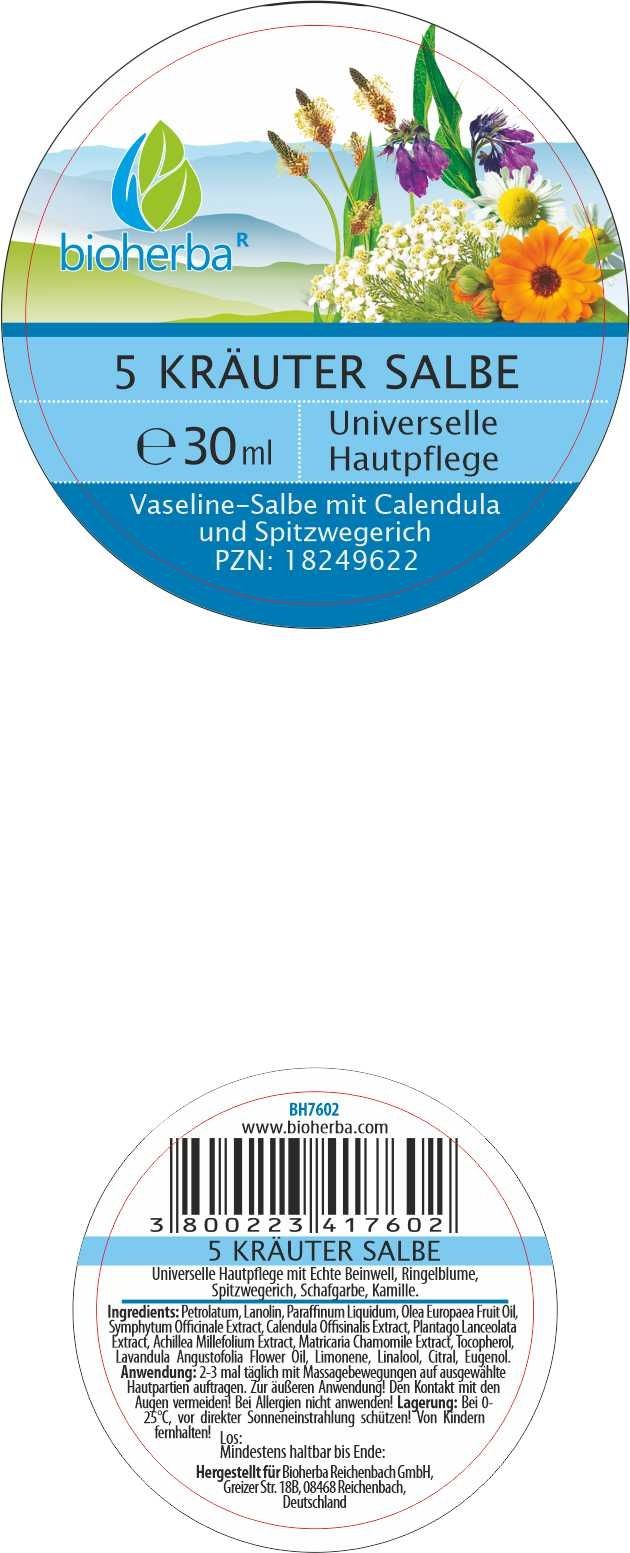 Bioherba 5 Kräuter Salbe Universelle Hautpflege