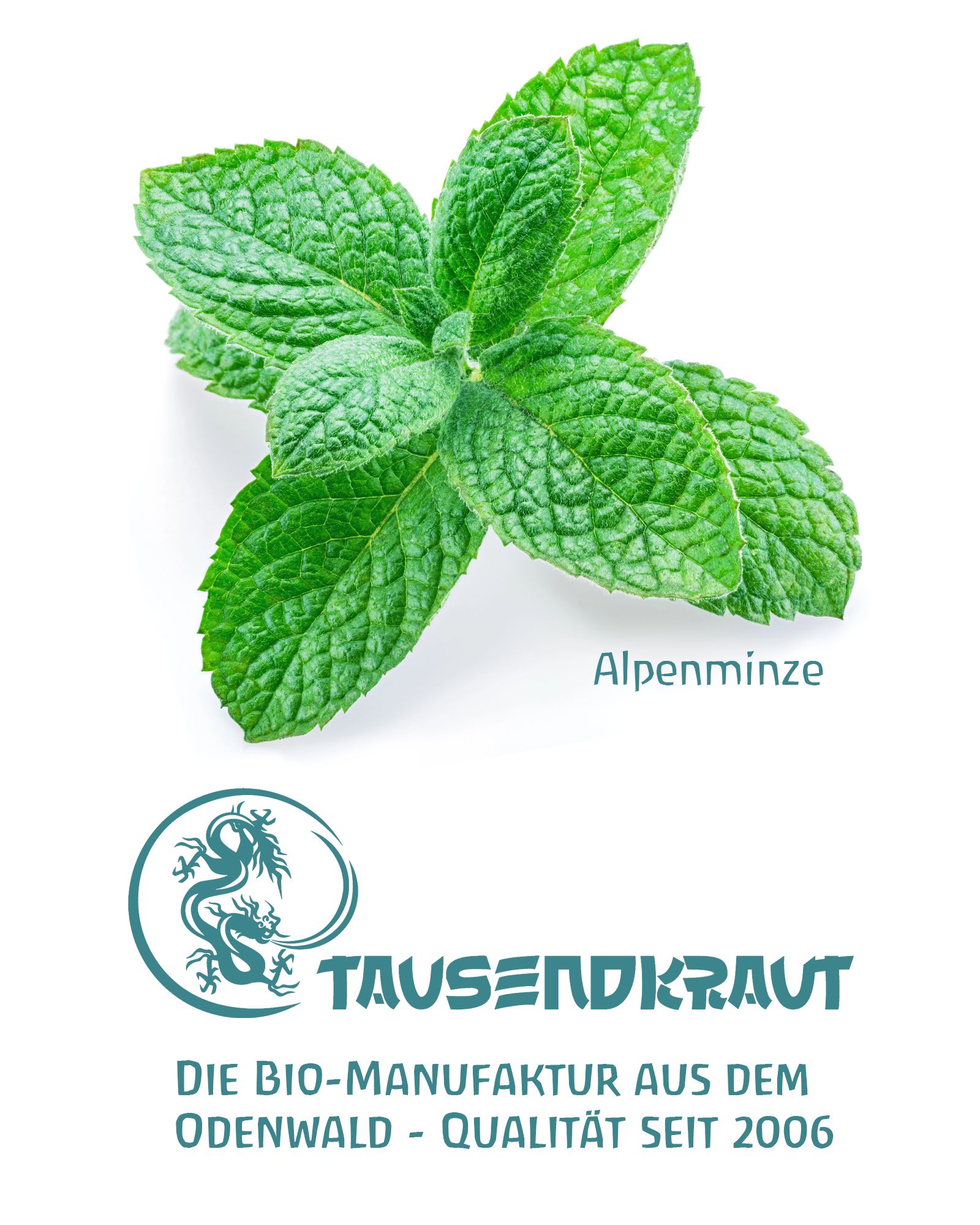 Frische grüne Minzblätter. Darunter Logo von Tausendkraut. Text: Die Bio-Manufaktur aus dem Odenwald - Qualität seit 2006.
