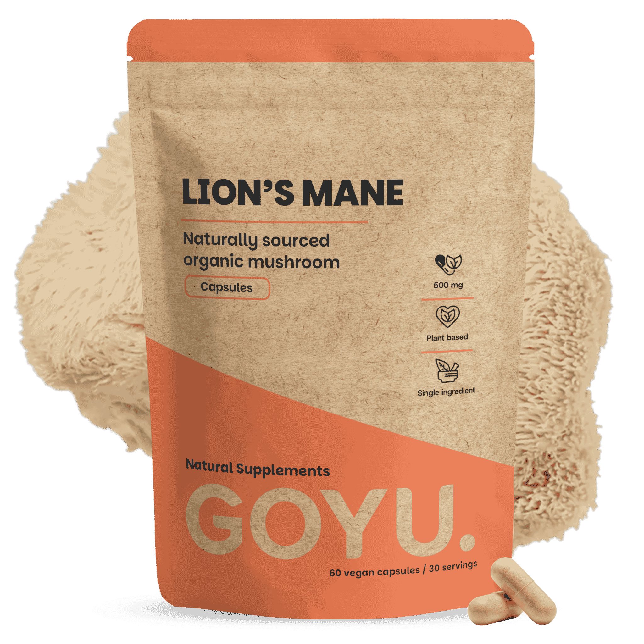 Braune Papiertüte mit Löwenmähne-Kapseln, 500 mg, organisch, 60 vegane Kapseln.
