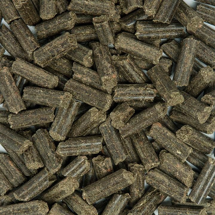 Nahaufnahme von braunen, zylindrischen Pellets. Einzelne Pellets mit sichtbarer Struktur. Auf hellem Hintergrund.
