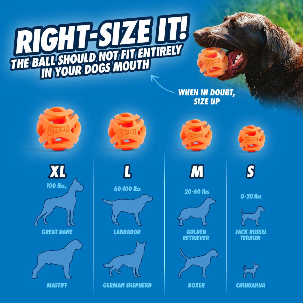 Größenvergleich von Bällen. Größen: XL, L, M, S. Abbildungen von Hunden. Aufschrift: Right-Size It!