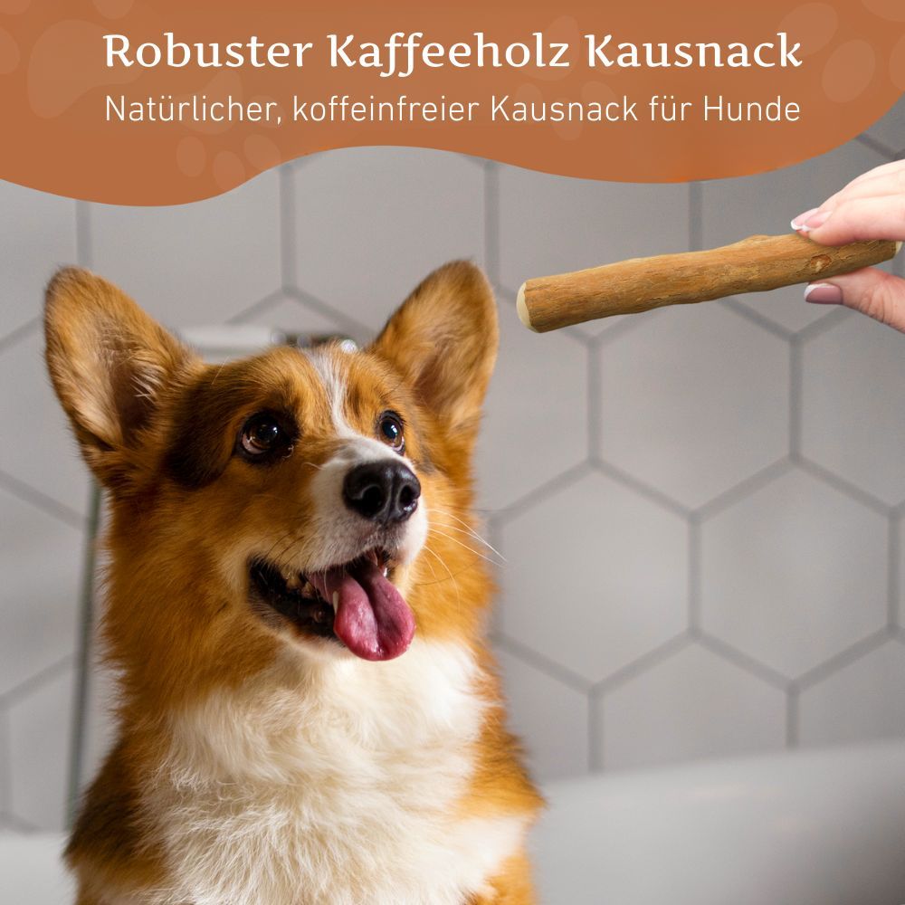 WILDFANG® Kaffeeholz-Kaustab Kauknochen Kauholz