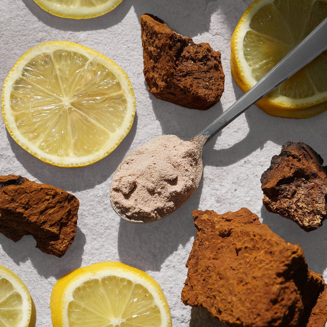 Löffel mit Pulver, Zitronen und Chaga-Pilz-Stücken. Auf hellem Untergrund.