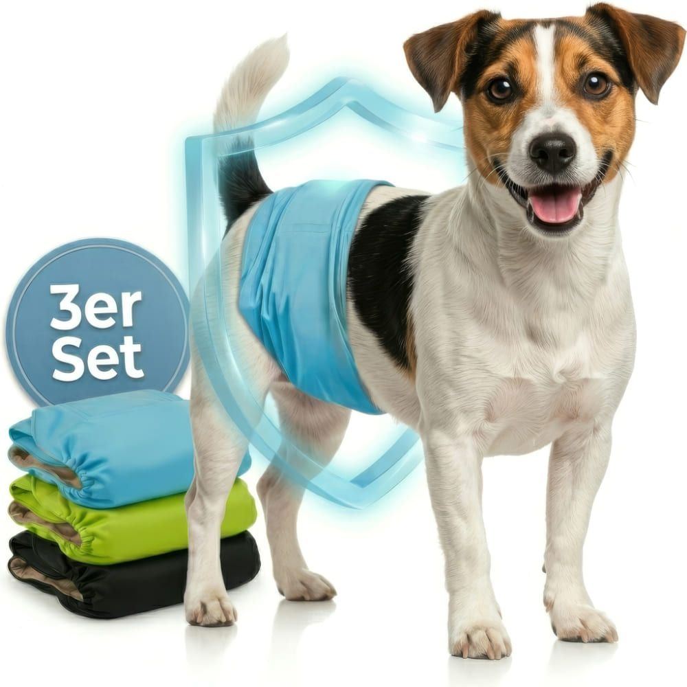 Hund trägt blaue Windel. 3er Set. Stapel Windeln in Blau, Grün und Schwarz. Hund steht.
