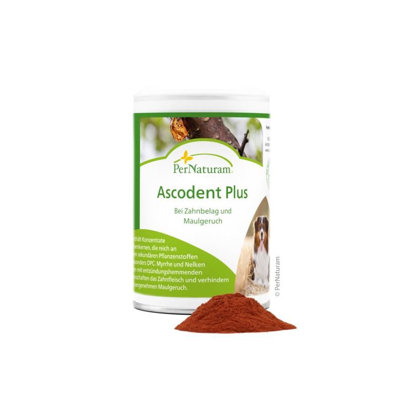 PerNaturam Ascodent Plus 100 g Pulver