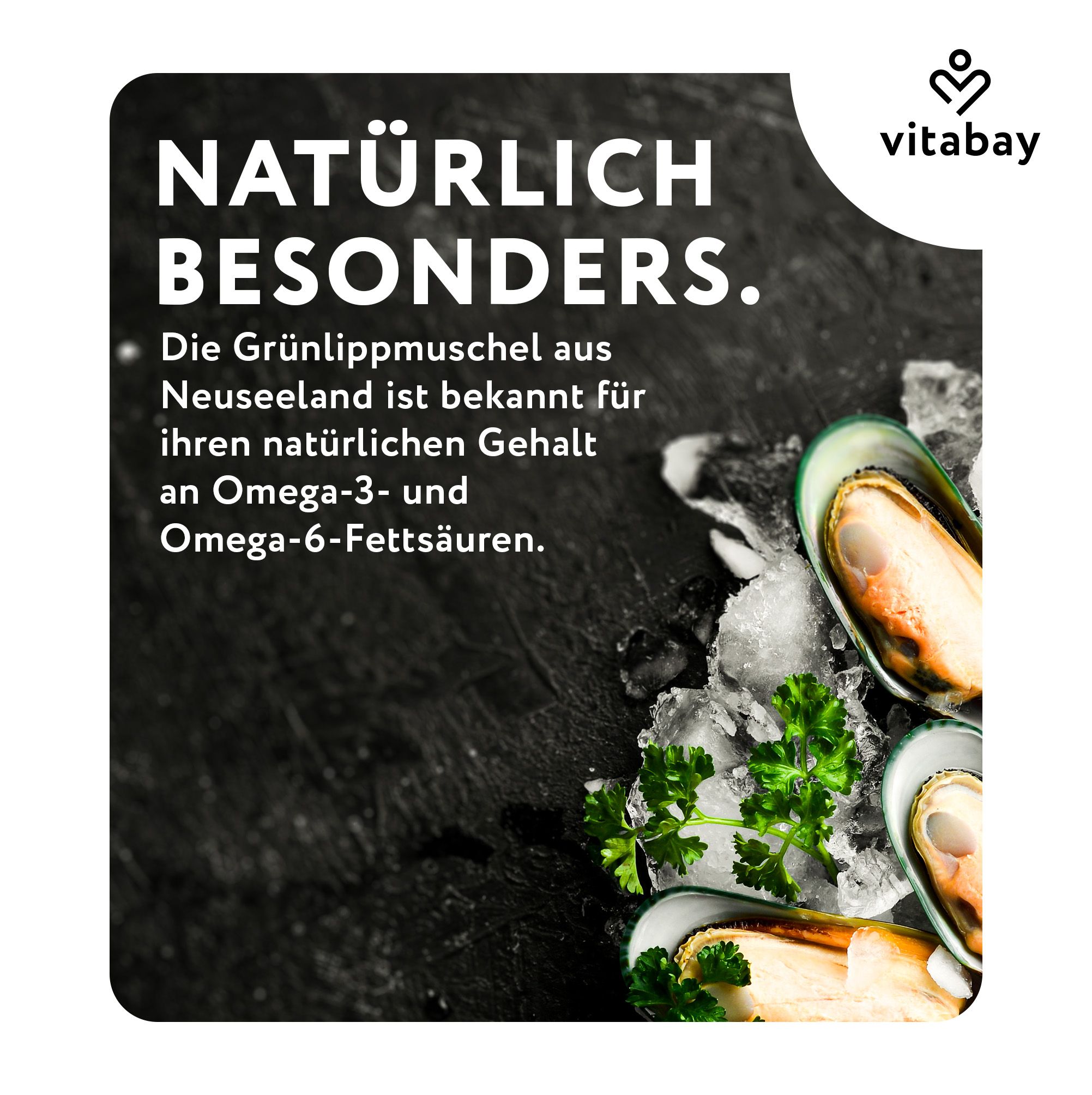 Grünlippmuscheln auf dunklem Untergrund mit Eis, Vitabay Logo.