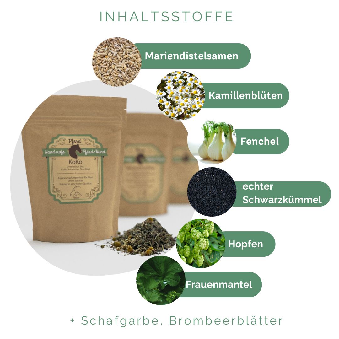 Braune Tüte mit Produktetikett neben Zutaten. Text: Inhaltsstoffe, Mariendistelsamen, Kamillenblüten, Fenchel, echter Schwarzkümmel, Hopfen.