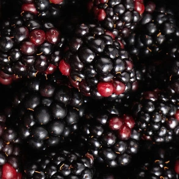 Zero Skin Sanfter Botanical Gesichtsreiniger, klärend und erfrischend für normale und ölige Haut