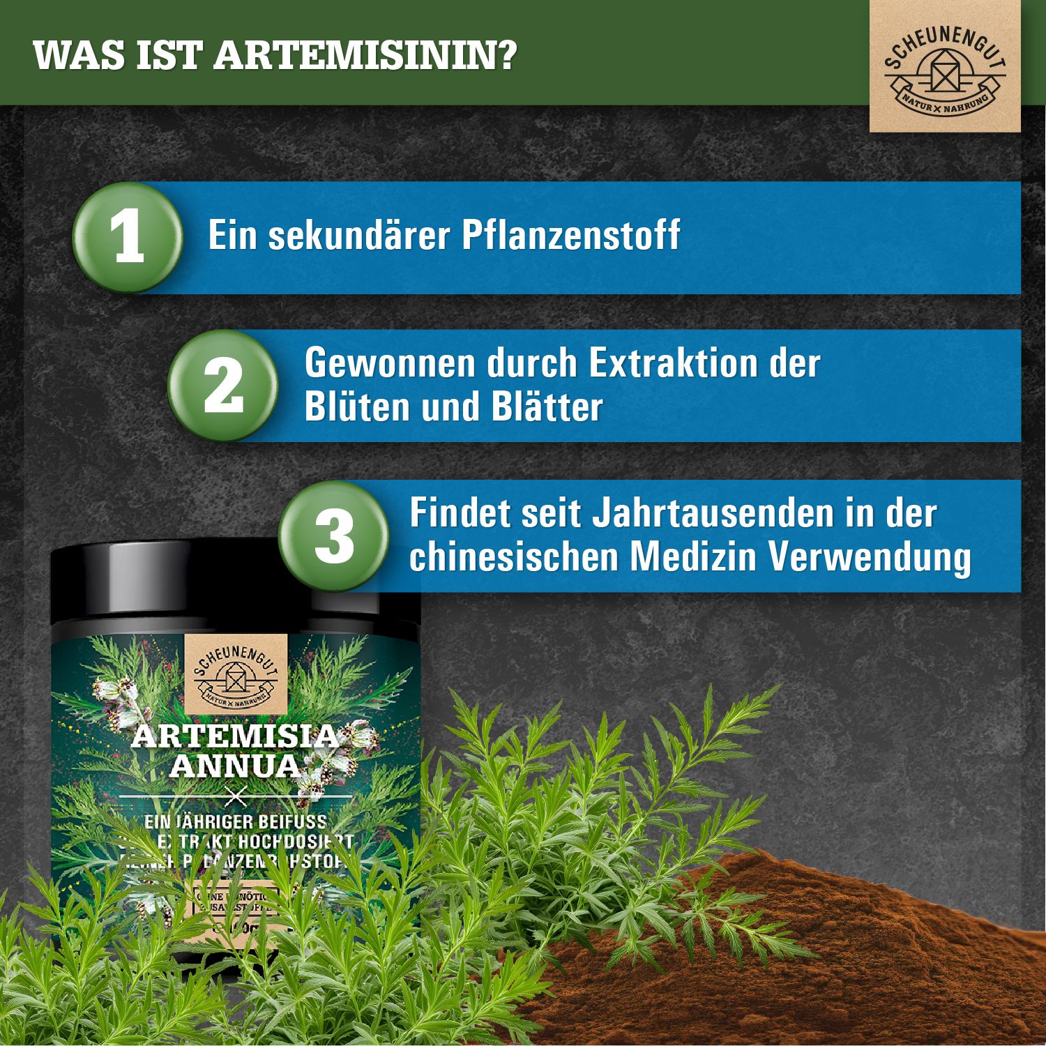 Produkt mit Informationen zu Artemisinin. Dose, grüne Balken mit Text und Illustrationen auf braunem Hintergrund.