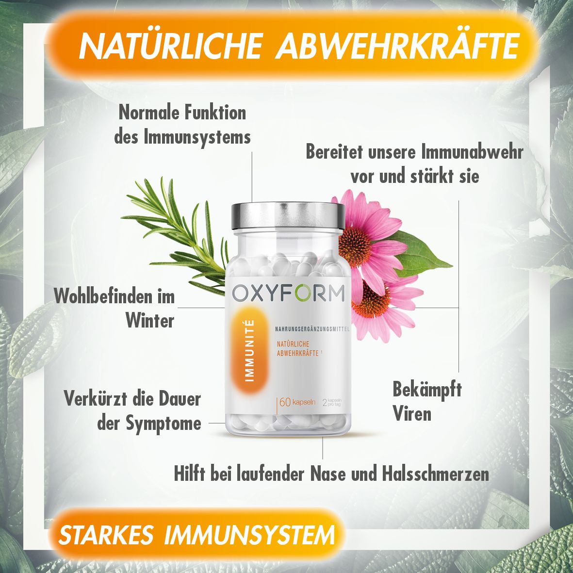 Produktflasche mit Kräutern und Text. OXYFORM-Flasche mit IMMUNITÉ-Label. Text: Natürliche Abwehrkräfte, starkes Immunsystem.
