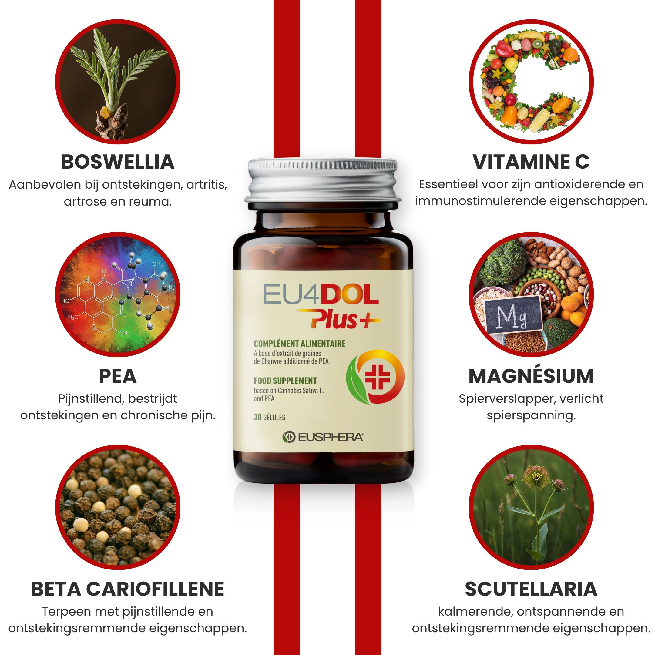 EU4DOL Plus+ fles. Tekst: Ingrediënten: Boswellia Serrata, PEA, Beta Cariofillene, Scutellaria, Vitamine C, Magnesium.