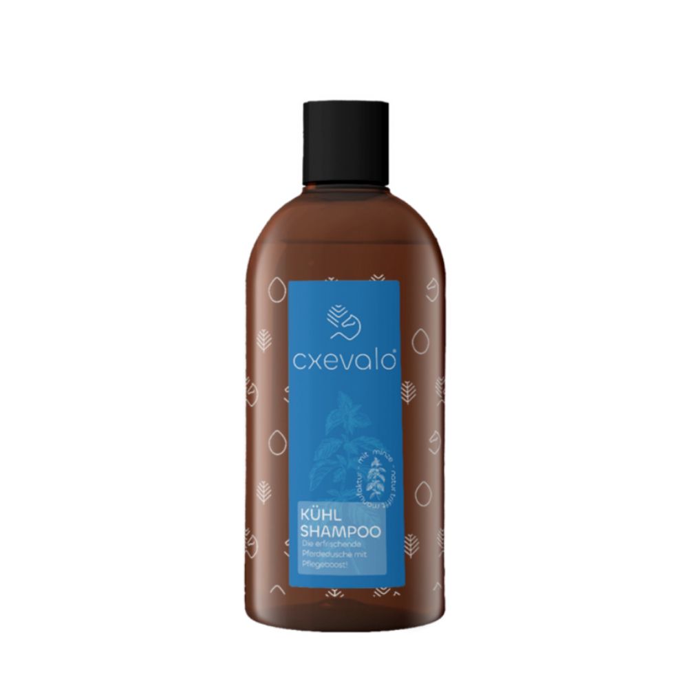 Braune Flasche mit schwarzem Deckel. Blaues Etikett mit Logo und Text: Kühl Shampoo.