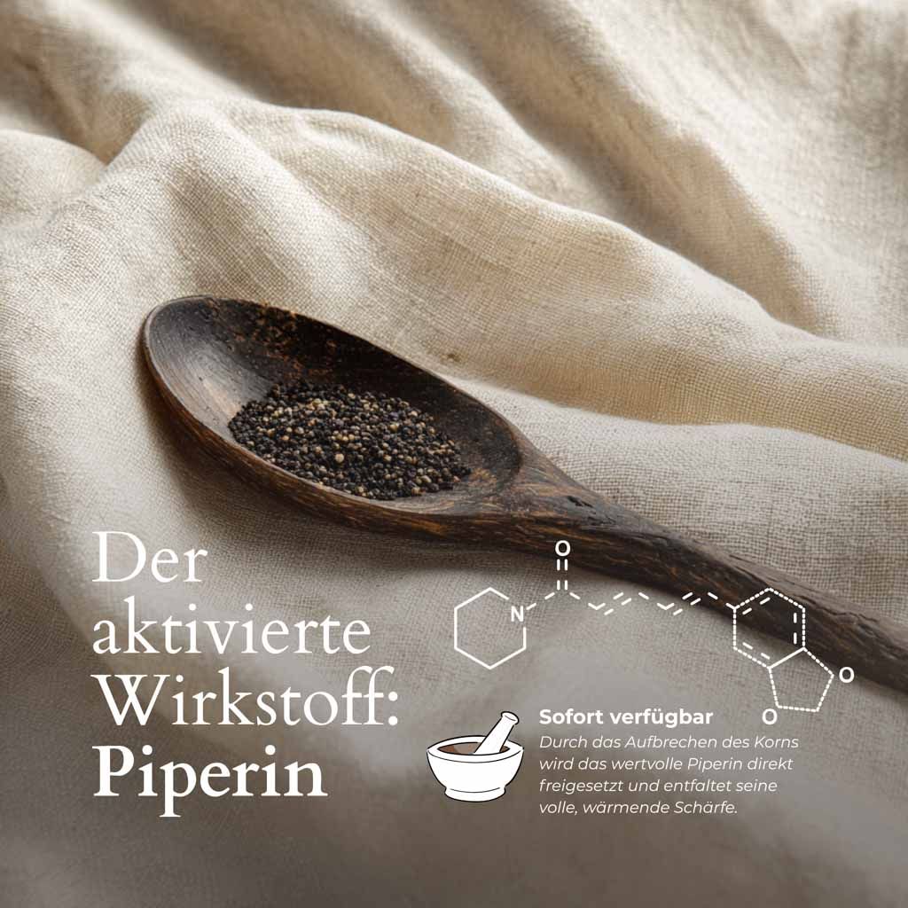 Holzlöffel mit geschrotetem Pfeffer. Text: Der aktivierte Wirkstoff: Piperin. Chemische Formel.