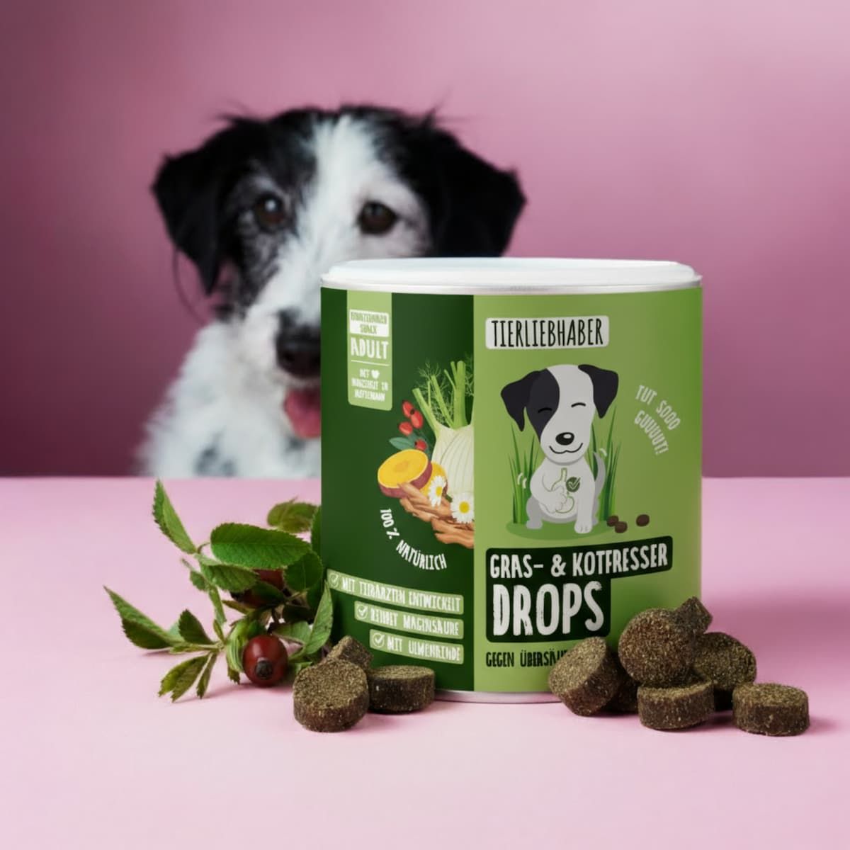 Grüne Dose und Drops vor rosa Hintergrund. Hund im Hintergrund. Aufschrift: Gras- & Kotfresser Drops. Einige Drops liegen vor der Dose.