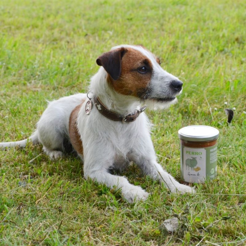 PERRO Geniesser Glas Katze SET Lamm & Karotte