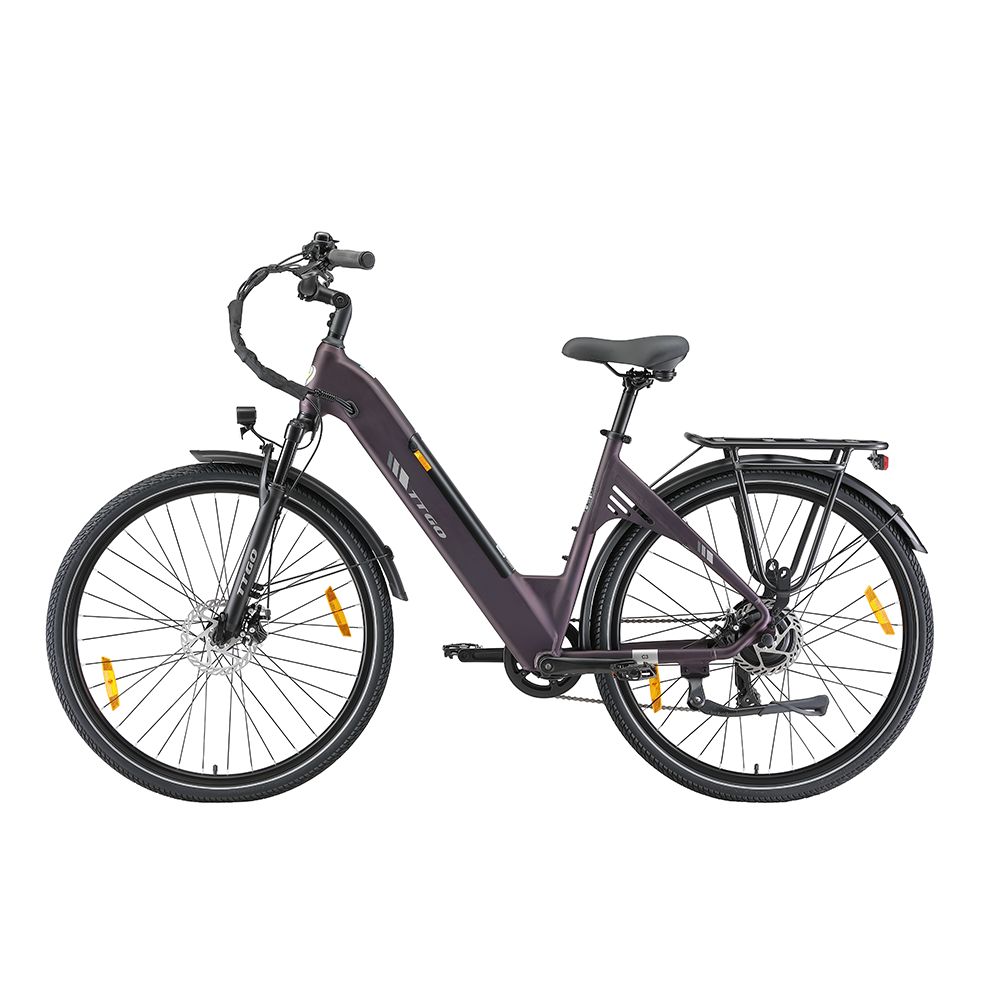 Dunkelviolettes Elektrofahrrad mit Gepäckträger, Schutzblechen und Beleuchtung. Schwarze Reifen und Sattel. TTGO-Logo.