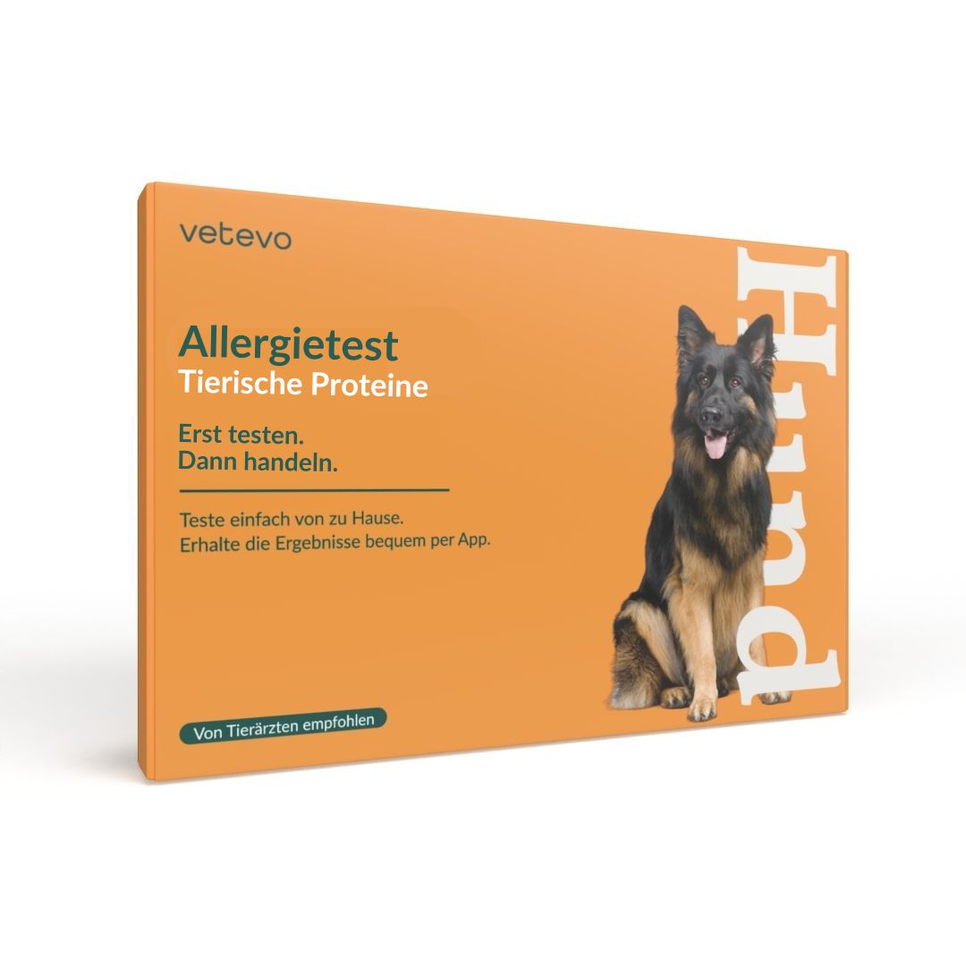 Allergietest - Tierische Proteine Hund