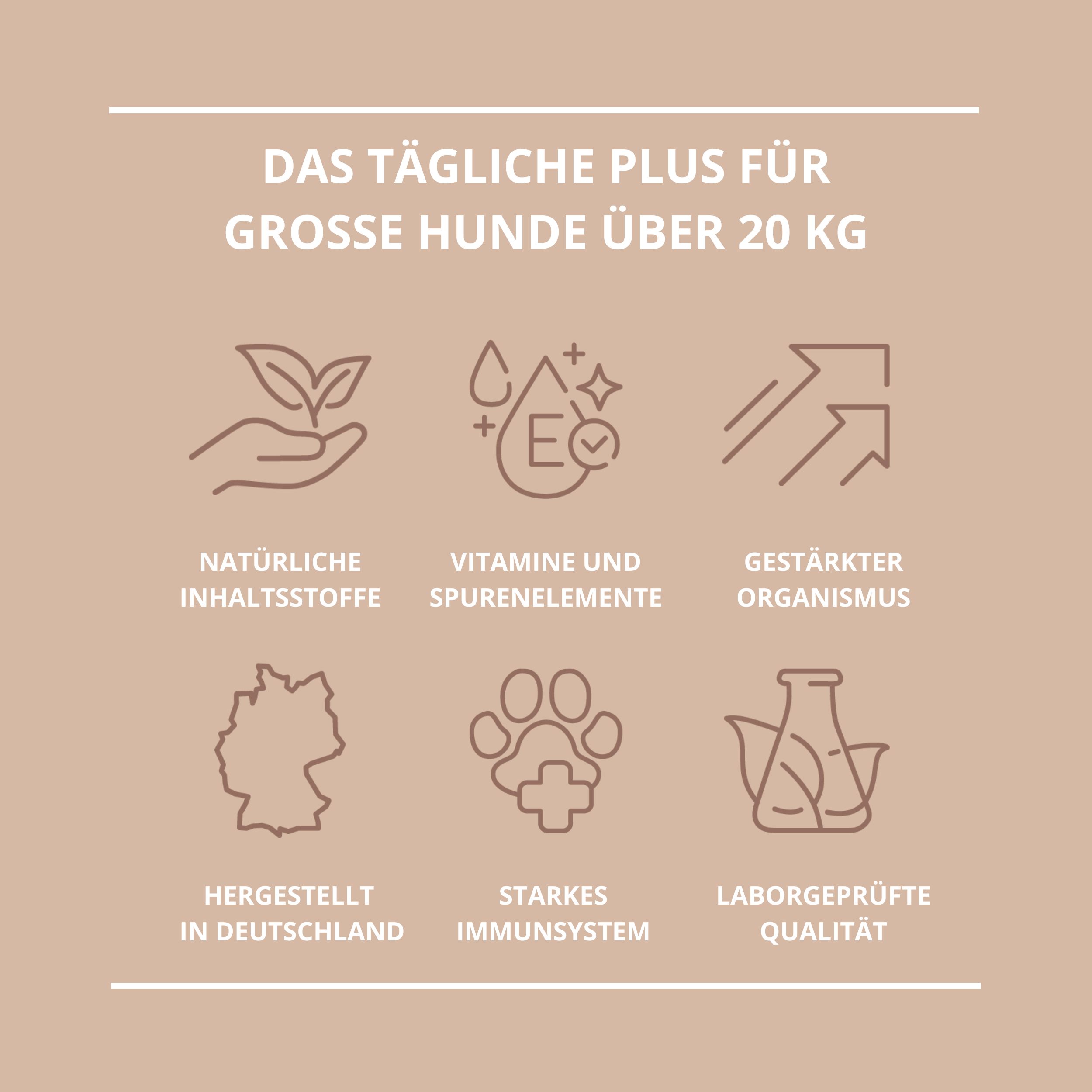 Grafik mit Icons und Text. Überschrift: DAS TÄGLICHE PLUS FÜR GROSSE HUNDE ÜBER 20 KG. Icons: Blätter, Tropfen, Pfeile, Deutschland, Pfote, Reagenzglas.