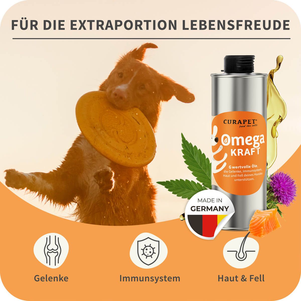 Hund mit Frisbee, daneben Flasche "Omega KRAFT". Zusätzliche Elemente: Blätter, Lachs, Distel, Icons.