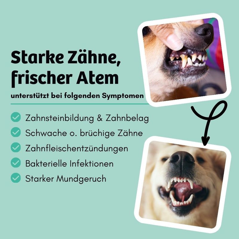 BugBell Weiche Hundeleckeri DentalShine - Mundgeruch & Zahnstein