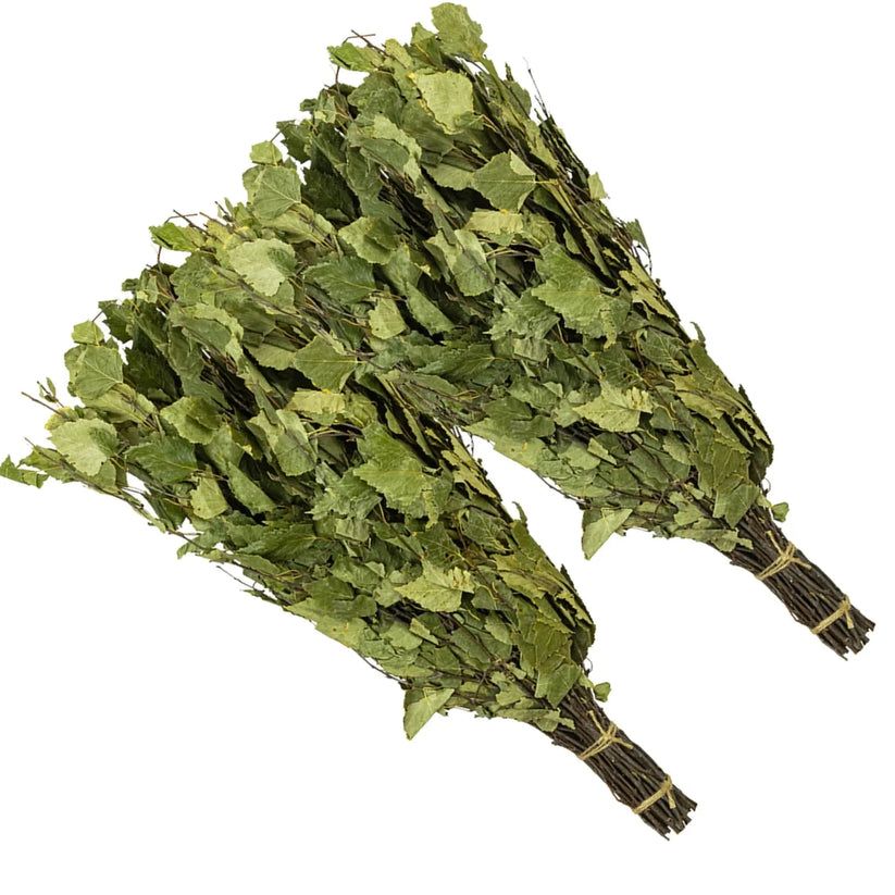 Zwei Birkenquaste. Gebunden mit Schnur. Für Sauna Chiarezza siberiana.