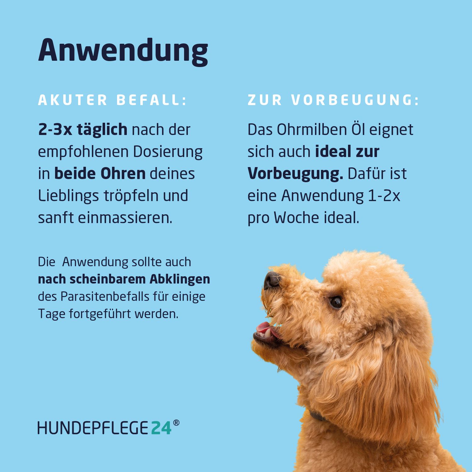Text: Anwendung. Akuter Befall: 2-3x täglich in beide Ohren tropfen und einmassieren. Zur Vorbeugung: 1-2x pro Woche. Hund.