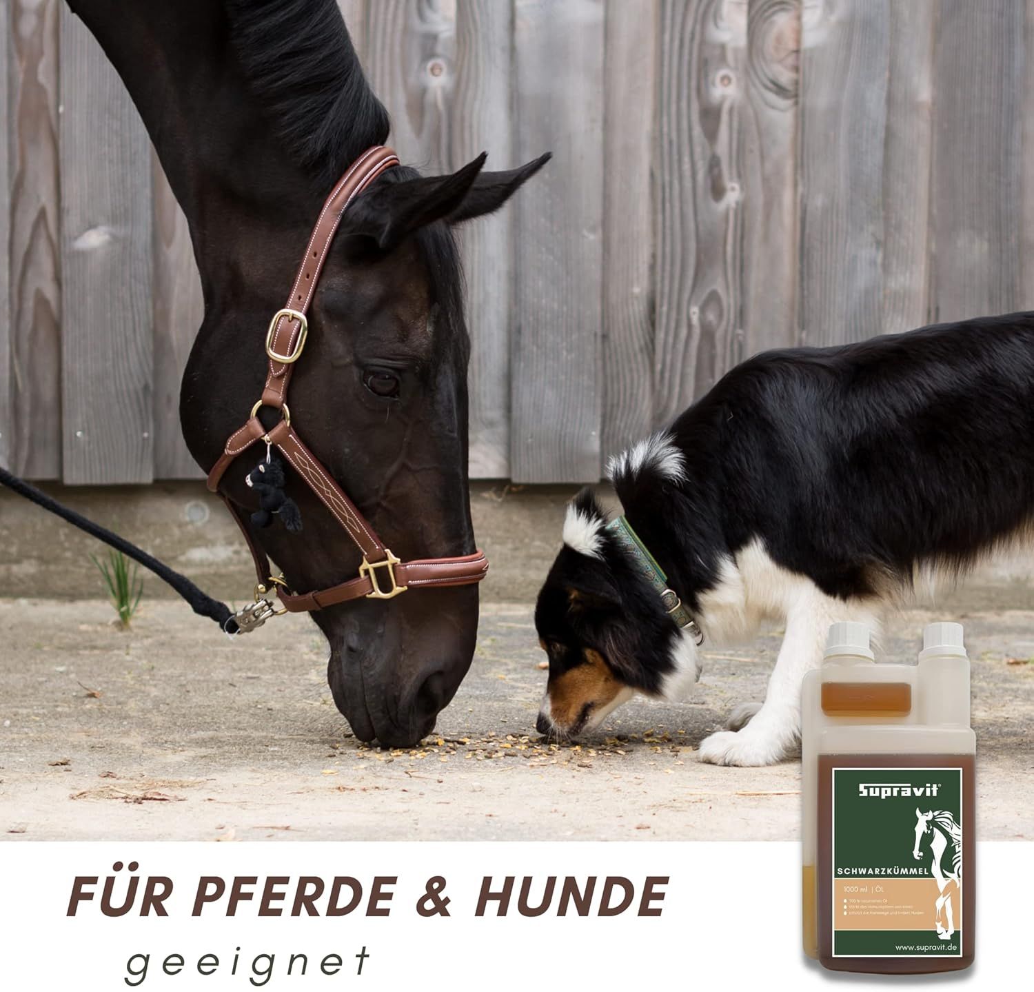 Supravit Schwarzkümmelöl für Pferd & Hund – 1 l Dosierflasche | frisch kaltgepresst & 100% naturrein