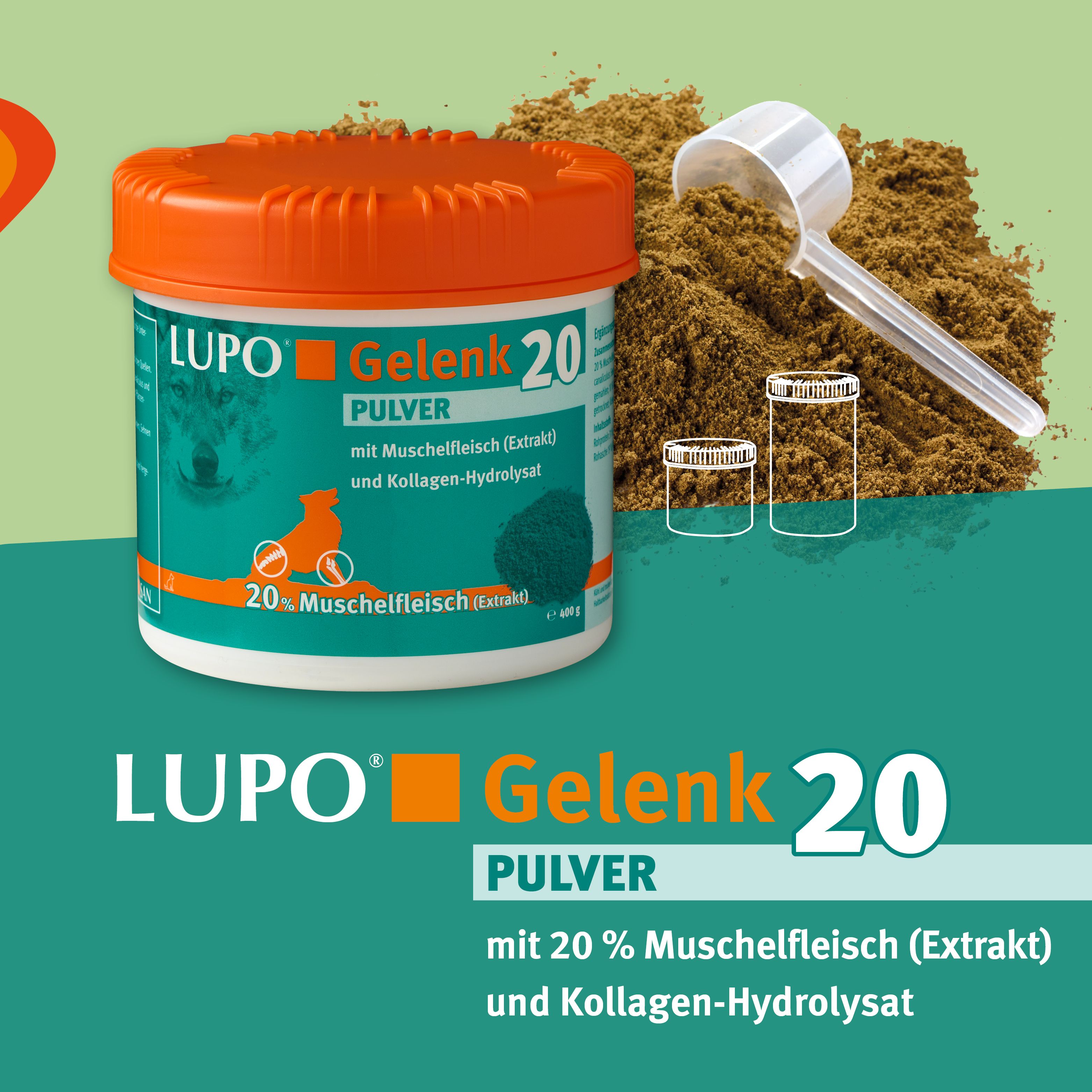 Produktglas, Pulverhaufen und Messlöffel. Aufschrift: LUPO Gelenk 20 Pulver. Grün-weißer Aufkleber mit Produktinformationen.