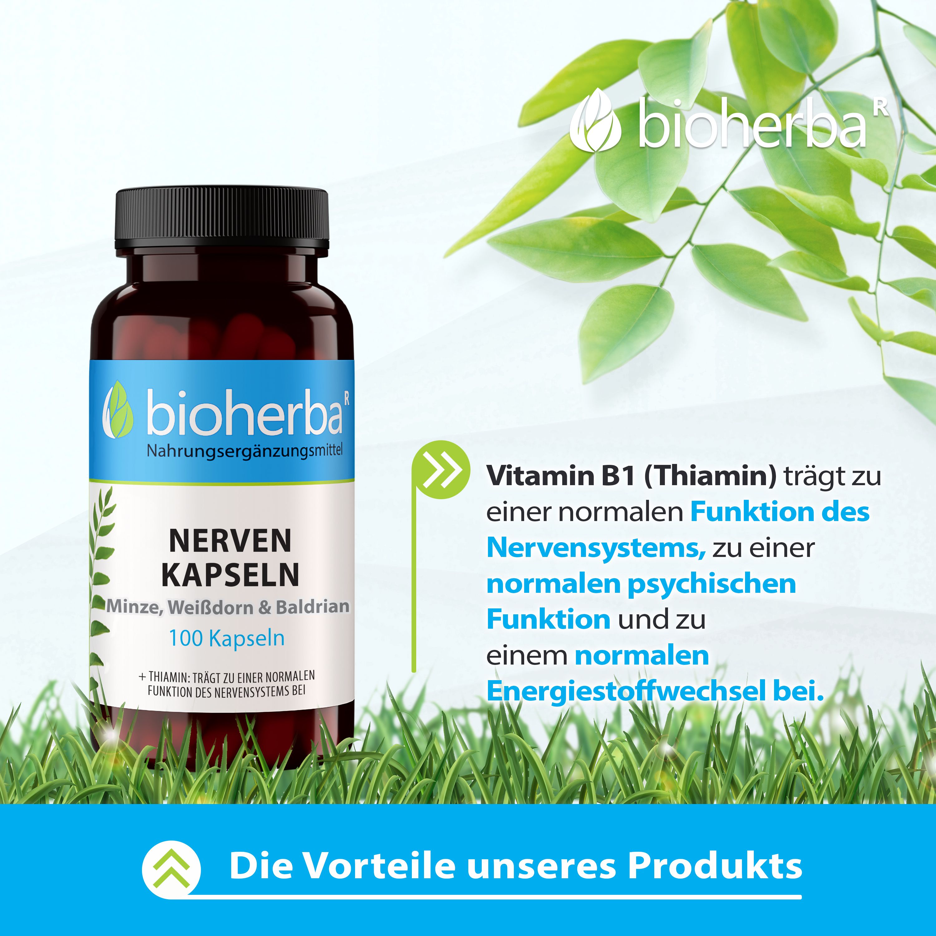 Bioherba Nerven Kaspeln mit Minze, Weißdorn und Baldrian