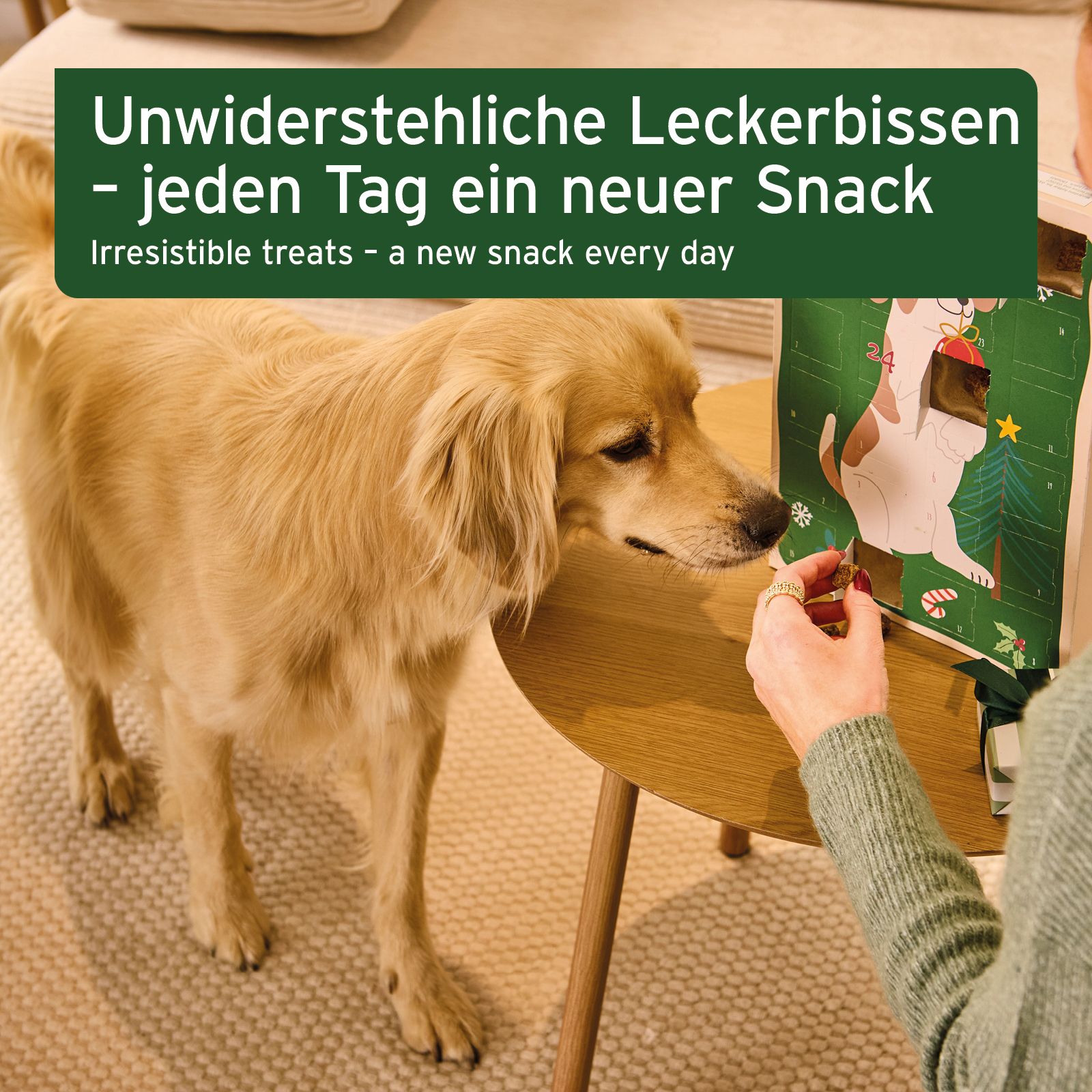 Rückseite eines Adventskalenders für Hunde mit Inhaltsstoffen, Größenangaben und Herkunft.