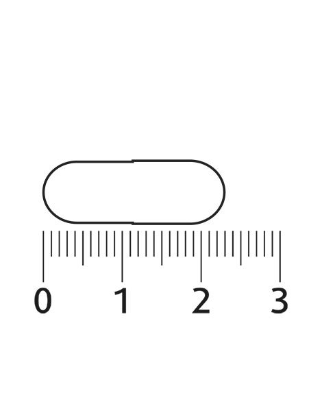 Kapsel neben einer Skala. Die Kapsel ist länglich und oval.