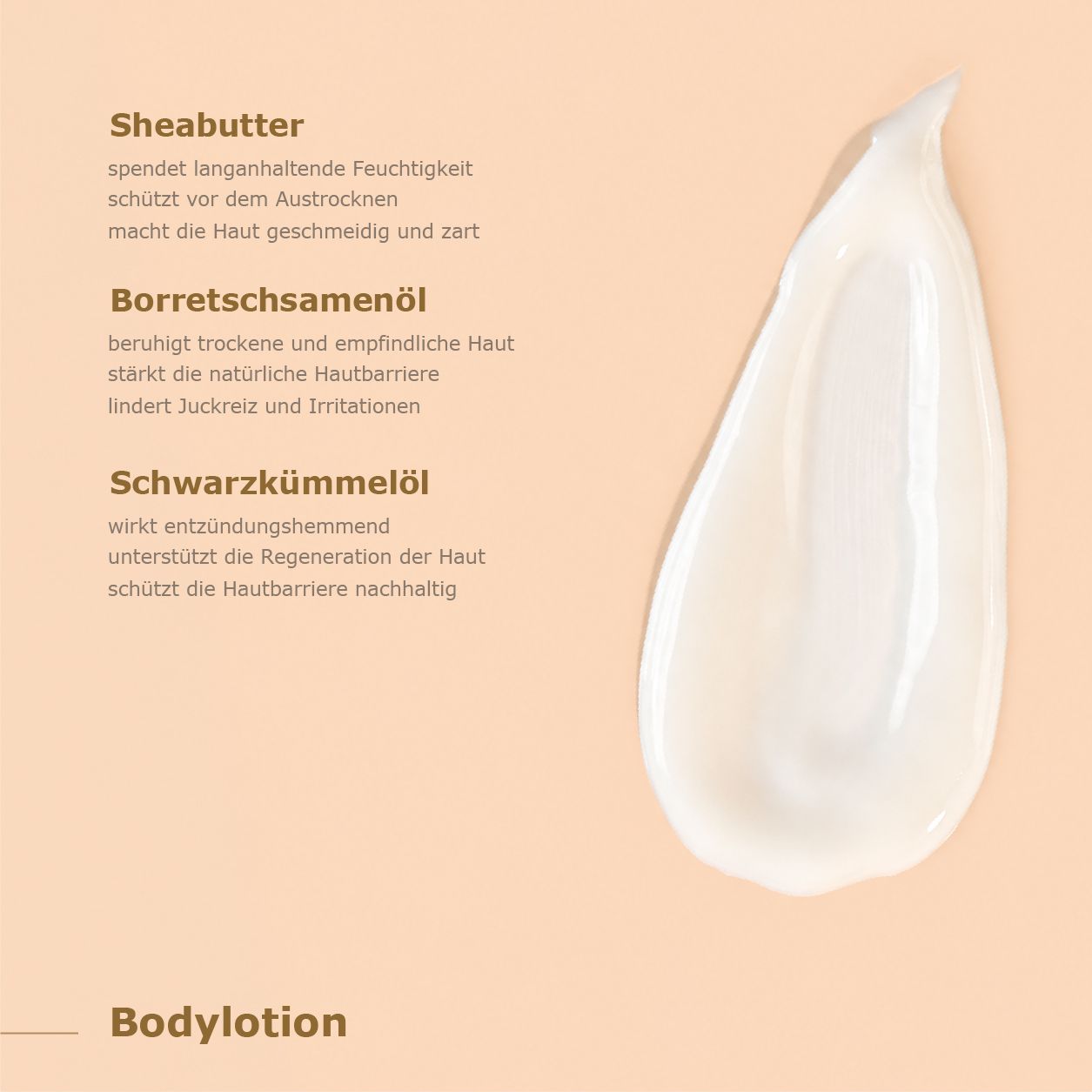 Cremiger Tupfer ANISSA Bodylotion neben Text über Sheabutter, Borretsch- und Schwarzkümmelöl.