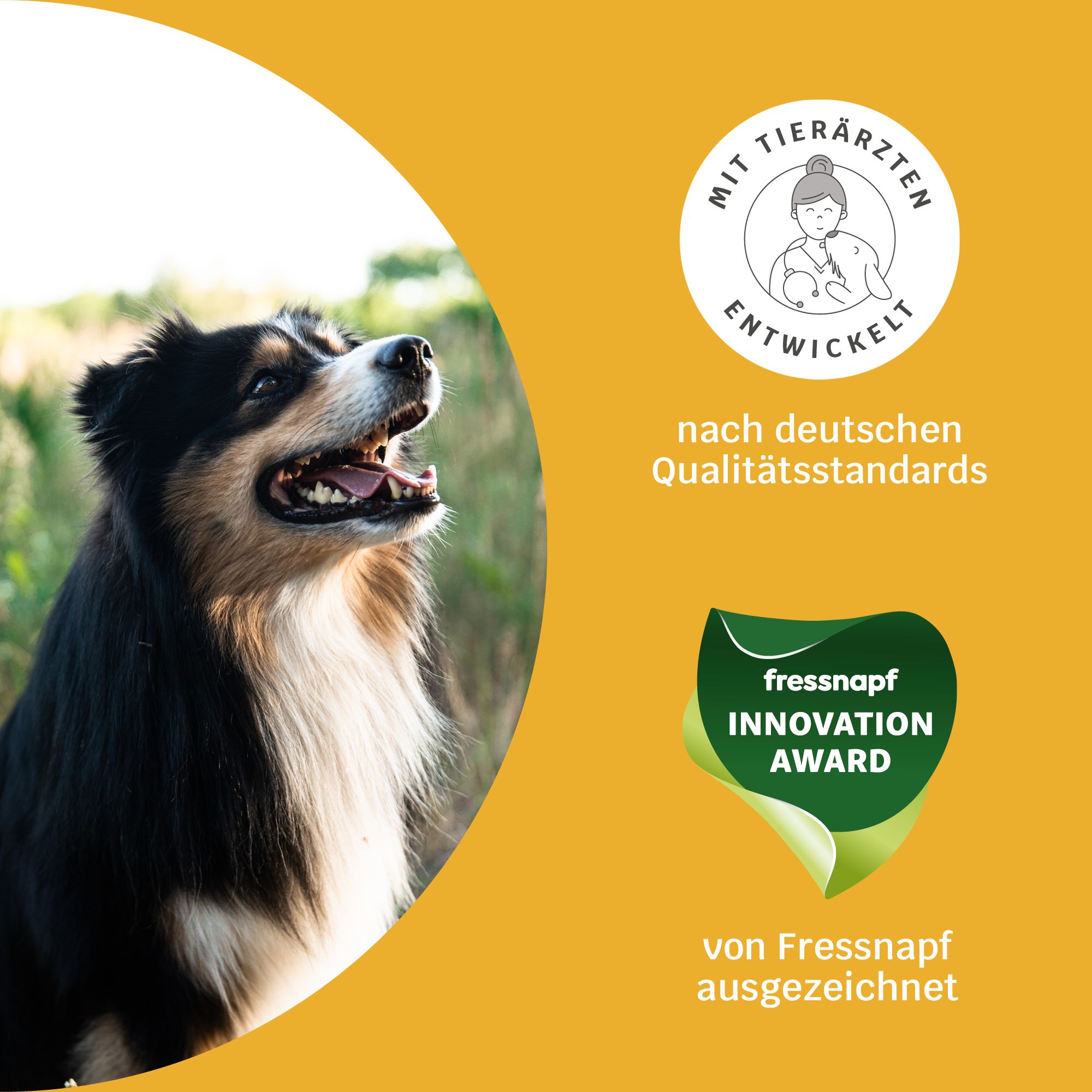 Mammaly Immu Push Snack, Nahrungsergänzungsmittel Hund, Vitamine Für ...